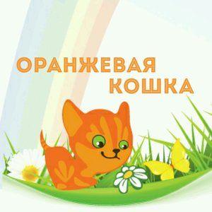 Фотография Оранжевая кошка 0