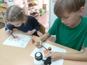 Фотография Оранжевая кошка 1